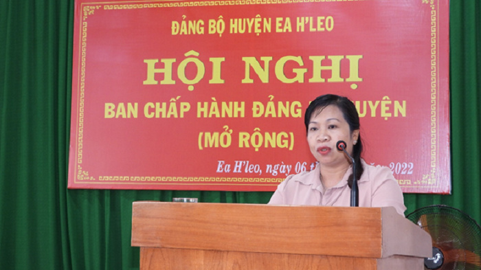 Hoi nghi BCH Dang bo huyen mo rong lan thu 10 3